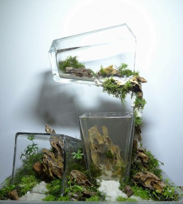 Инсталляция из нескольких аквариумов