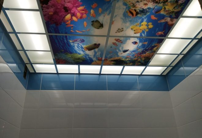 Стеклянные панели на потолке в туалете